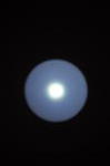 Click on one of the size names below to enlarge this image Click on one of the size names below to enlarge this image