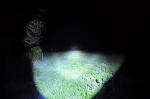 Click on one of the size names below to enlarge this image Click on one of the size names below to enlarge this image