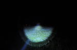 Click on one of the size names below to enlarge this image Click on one of the size names below to enlarge this image