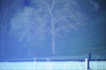 Click on one of the size names above to enlarge this image Click on one of the size names above to enlarge this image