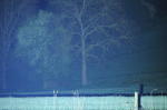 Click on one of the size names above to enlarge this image Click on one of the size names above to enlarge this image