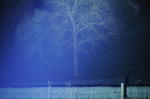 Click on one of the size names above to enlarge this image Click on one of the size names above to enlarge this image