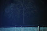 Click on one of the size names above to enlarge this image Click on one of the size names above to enlarge this image